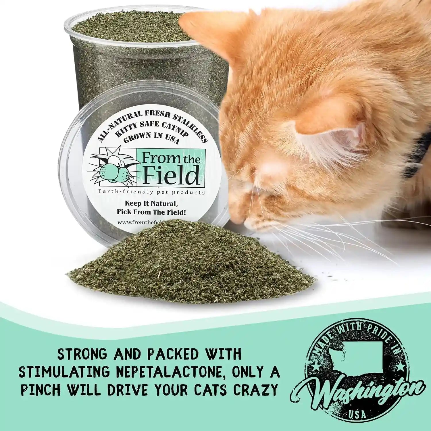 from-the-field-fine-ground-stalkless-catnip-premium-usa-grown-catnip-for-toys-playtime-fresh-potent-non-toxic-eco-friendly-safe-for-kittens-cats-resealable-6-oz-tub