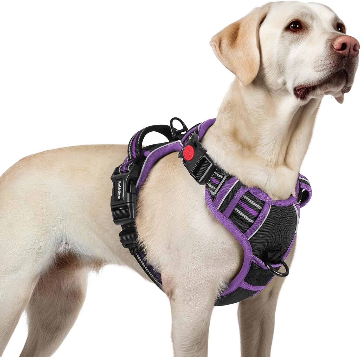 rabbitgoo-dog-harness-medium-sized-updated-easy-on-off-with-3-buckles-no-pull-no-choke-walking-with-2-clips-and-handle-adjustable-soft-reflective-blue-medium
