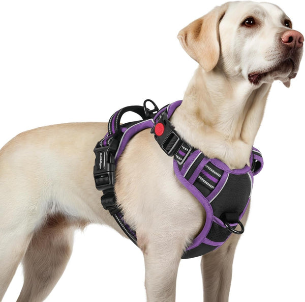 Rabbitgoo Dog Harness Medium Sized, Updated Easy on & off with 3 Buckles | No Pull No Choke, Walking with 2 Clips and Handle, Adjustable Soft Reflective, Blue, Medium42