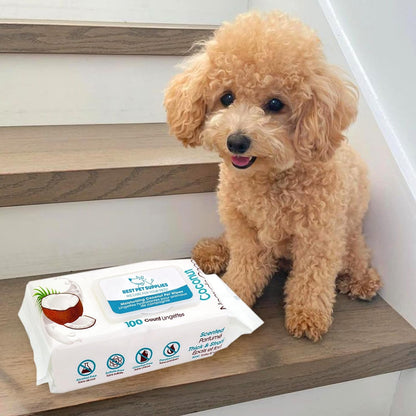 Best Pet Supplies Cleaning Dog Wipes - Moisturizing Coconut 100 Count | Coconut Scented, Large 8X9" Pet Wipes, Vitamin E, Puppy & Cat Safe, Gentle Grooming, Resealable Pouch Prevents Drying6