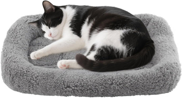 Small Cat Bed Mat Plush Pet Cushion, 15" X 10" Cat Pad with Pillow around for Indoor Pets, Puppy Curl Sleep Self Warming Mat for Crate Carrier/Outdoor Pet Houses, Non-Slip Bottom, Small7