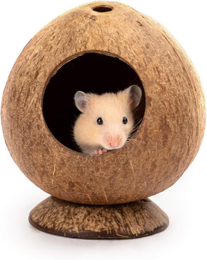 Andwe Coconut Hut Hamster House Bed for Gerbils Mice Small Animal Cage Habitat Decor1