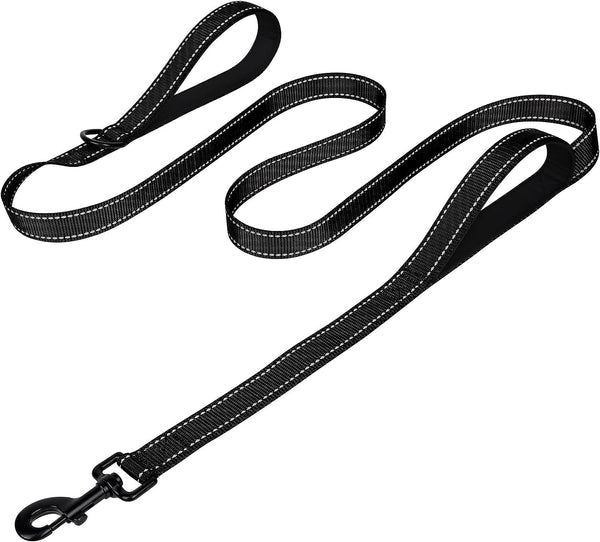 Joytale Reflective Dog Leash for Medium & Large Dogs, 6 FT X 1", Black | Heavy Duty Nylon Webbing, Padded Handle for Comfort, Visible at Night, for Walking & Training21
