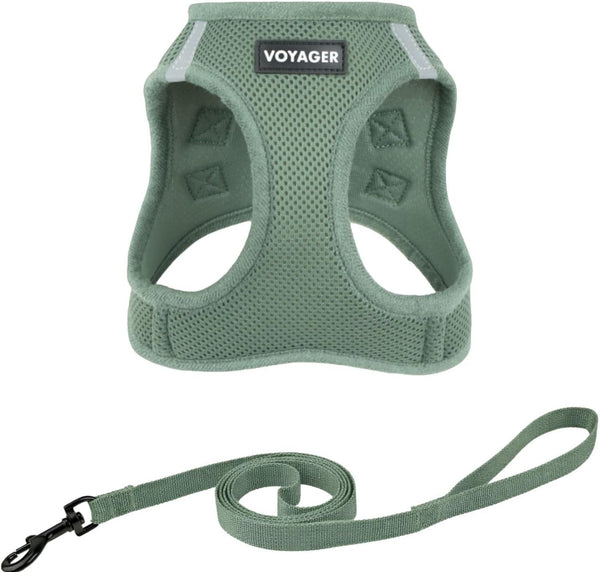 Voyager Step-In Pet Harness - All Weather Mesh, Adjustable Step in Harness for Cats and Dogs by Best Pet Supplies - 307 Set Moss Green, M1