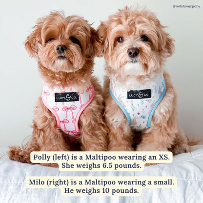 Lucy & Co. Reversible Dog Harness - Water-Repellent Neoprene, Dual-Print Design, Easy Swap Style, Adjustable Comfort Fit - Take a Bow Reversible Harness - Small6