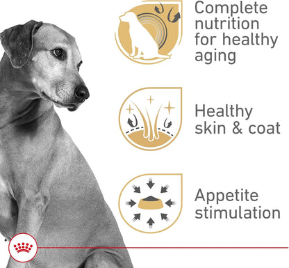 ROYAL CANIN Canine Health Nutrition Mature Mature in Gel Dog Food, 13.5 Oz (Pack of 12)2