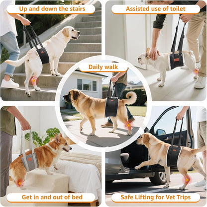LOOBANI Adjustable Dog Sling for Large Dogs Hind Leg Support ACL Recovery | Walking & Stair Assistance, Senior Dog Mobility, Padded Comfort, Adjustable Fit, Lightweight Nylon, Soft Plush Lining8