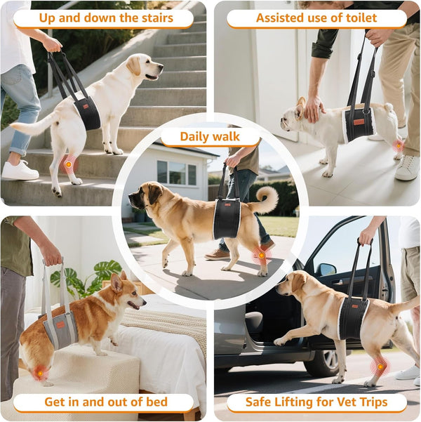 LOOBANI Adjustable Dog Sling for Large Dogs Hind Leg Support ACL Recovery | Walking & Stair Assistance, Senior Dog Mobility, Padded Comfort, Adjustable Fit, Lightweight Nylon, Soft Plush Lining8