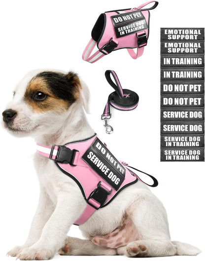 Service Dog Vest Harness and Leash Set+10 Patches,No Pull&Adjustable Reflective Dog Harness with Soft Padded Handle for Training/Everyday,Fit Small/Medium/Large/Extra-Large Dogs(Red XL) | No Pull&Adjustable Reflective Service Dog Harness Large Sized,Dog Leash with 2 Soft Padded Handles,For Training Working13