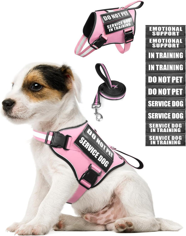 Service Dog Vest Harness and Leash Set+10 Patches,No Pull&Adjustable Reflective Dog Harness with Soft Padded Handle for Training/Everyday,Fit Small/Medium/Large/Extra-Large Dogs(Red XL) | No Pull&Adjustable Reflective Service Dog Harness Large Sized,Dog Leash with 2 Soft Padded Handles,For Training Working13