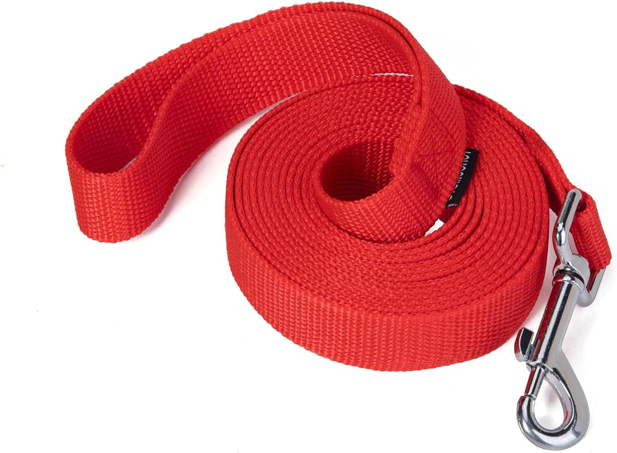 strong-durable-nylon-10ft-long-dog-training-leash-traction-rope-1-inch-wide-for-small-and-medium-dog-black-10-feet