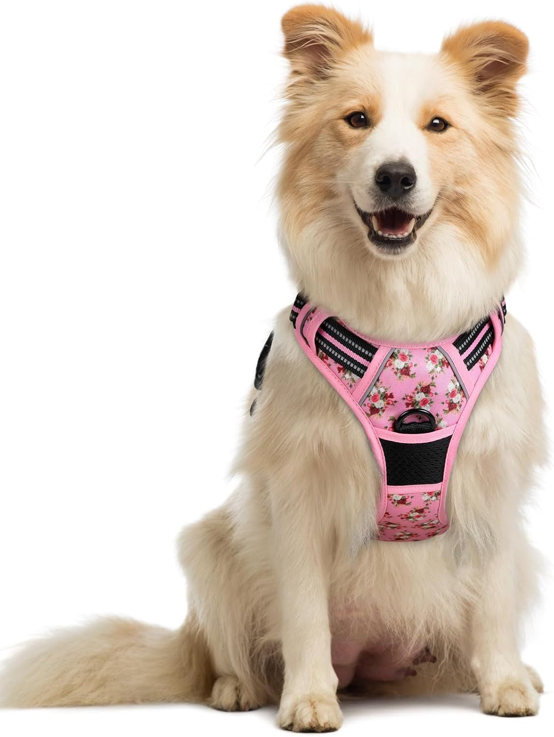 rabbitgoo-dog-harness-no-pull-for-large-dogs-with-2-leash-clips-pet-vest-no-choke-with-handle-adjustable-soft-padded-reflective-easy-control-for-walking-black-large