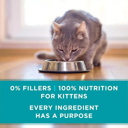 Purina ONE Grain Free, Natural Pate Wet Kitten Food, Healthy Kitten Chicken & Salmon Recipe - (Pack of 24) 3 Oz. Pull-Top Cans7