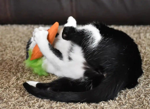 Ourpets 100-Percent North American Catnip Filled Carrot Cat Toy 24 Karat2
