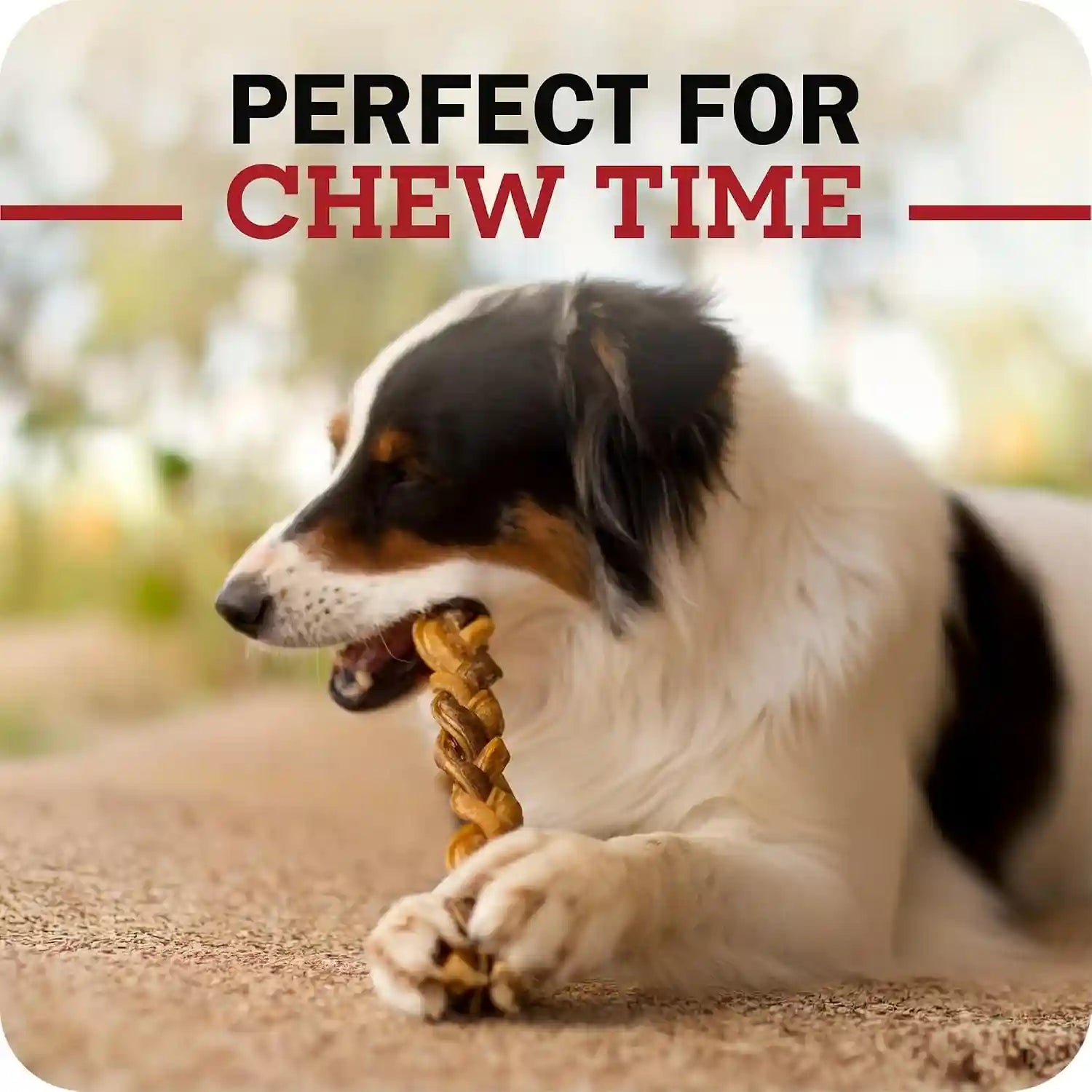 redbarn-pet-products-all-natural-5-8-braided-bully-sticks-for-small-large-dogs-healthy-long-lasting-beef-chews-variety-party-pack-single-ingredient-low-odor-rawhide-free-8-oz-bag