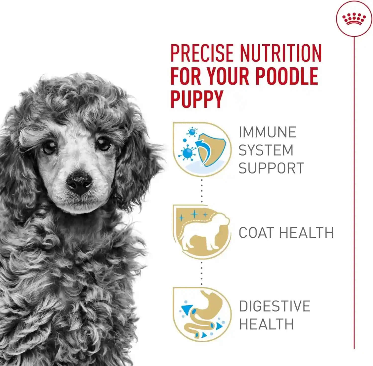 royal-canin-breed-health-nutrition-poodle-puppy-dry-dog-food-2-5-lb-bag-tailored-for-poodle-puppies-up-to-10-months-specialized-kibble-shape-supports-healthy-digestion-antioxidant-rich-formula