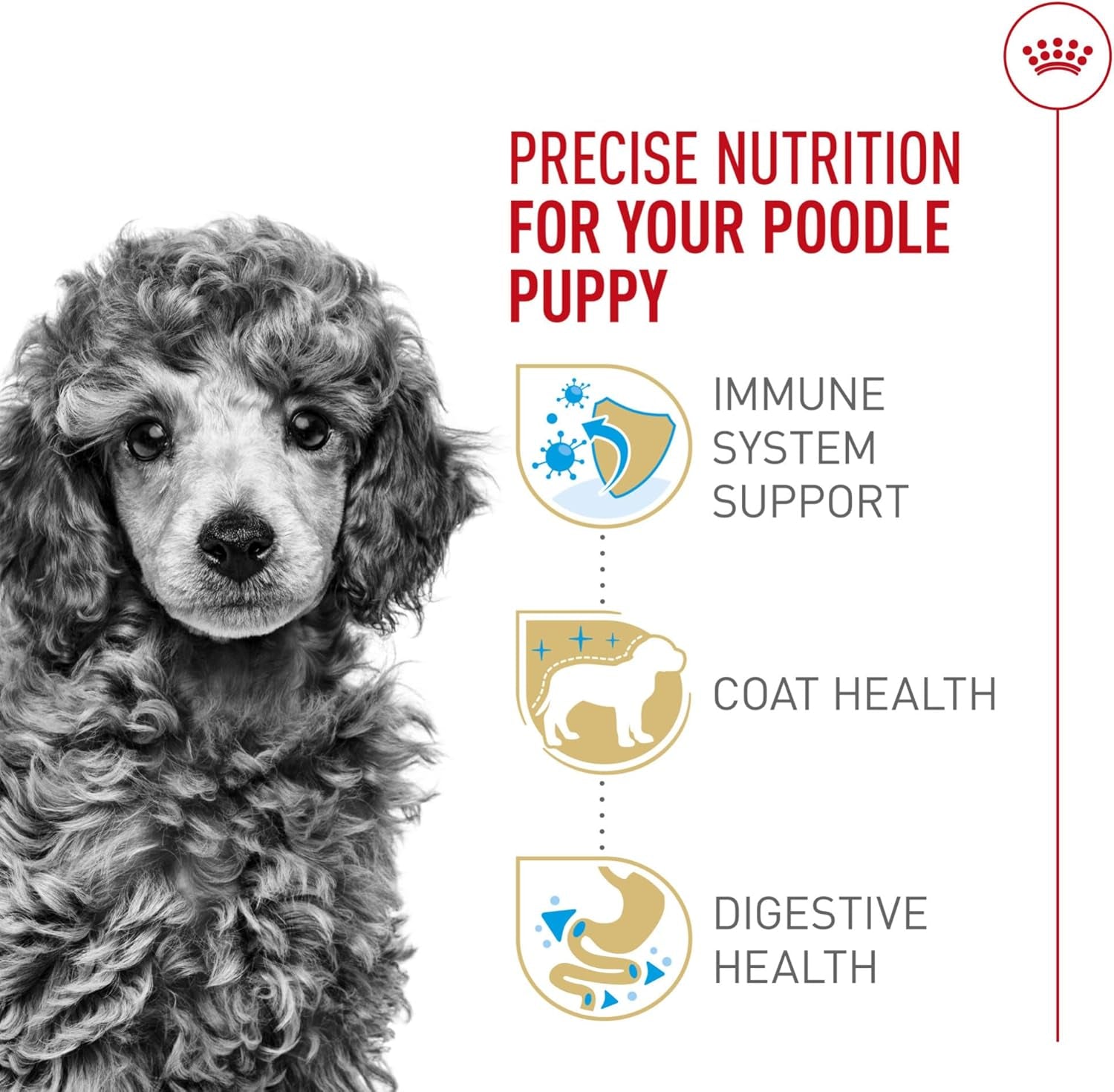 royal-canin-breed-health-nutrition-poodle-puppy-dry-dog-food-2-5-lb-bag-tailored-for-poodle-puppies-up-to-10-months-specialized-kibble-shape-supports-healthy-digestion-antioxidant-rich-formula