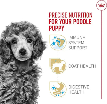ROYAL CANIN Breed Health Nutrition Poodle Puppy Dry Dog Food, 2.5 Lb Bag. | Tailored for Poodle Puppies up to 10 Months, Specialized Kibble Shape, Supports Healthy Digestion, Antioxidant-Rich Formula.3
