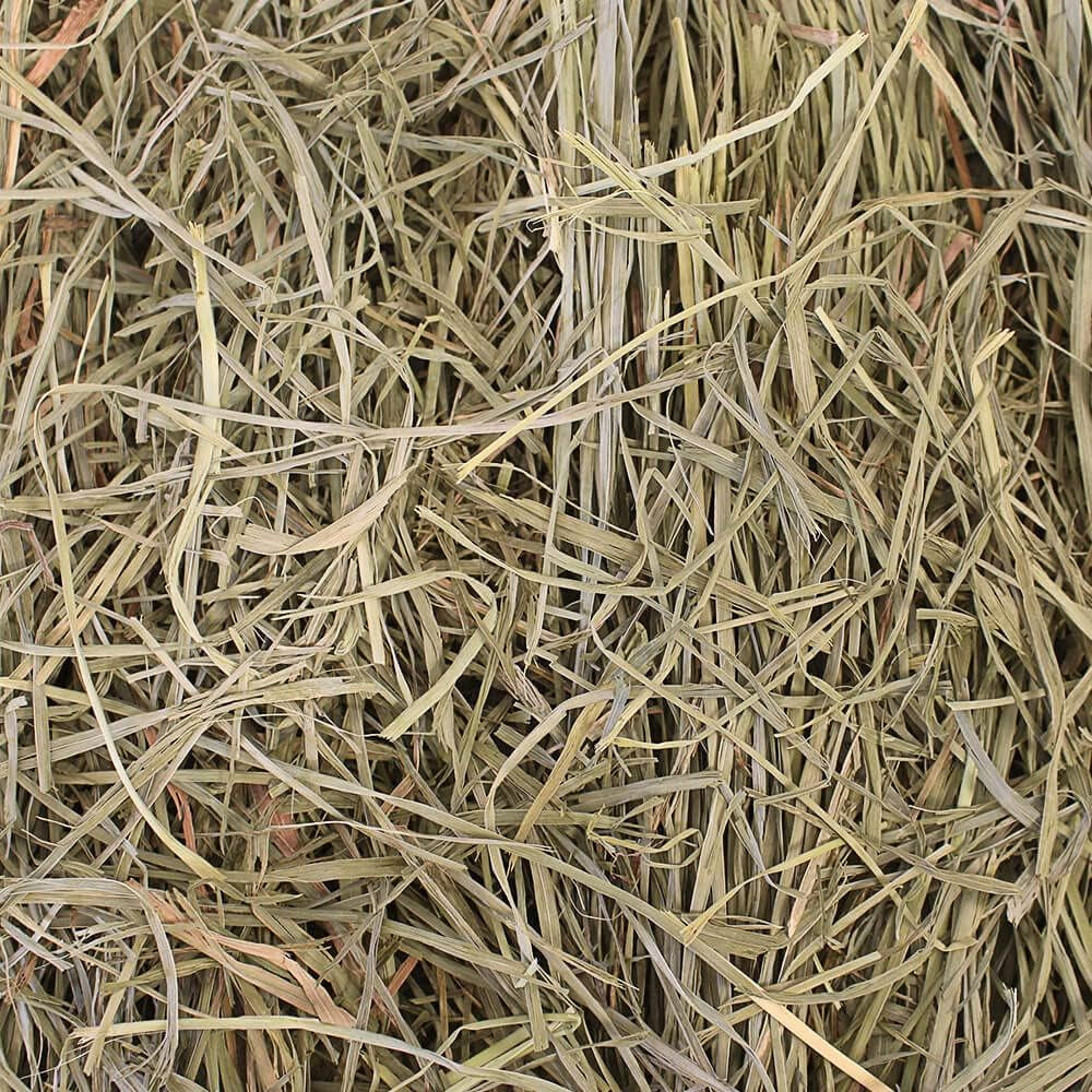 grandpas-best-premium-orchard-grass-hay-for-rabbits-guinea-pigs-chinchillas-hamsters-gerbils-20lb-loose-boxed-brown