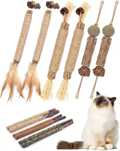 TINDTOP Catnip Chew Toys for Cats, 12 Pack Natural Silvervine Sticks | for Kittens Teeth Cleaning, Matatabi Dental Care, Increase Appetite, Calm Cat Anxiety and Stress, Cat Dental Toy1
