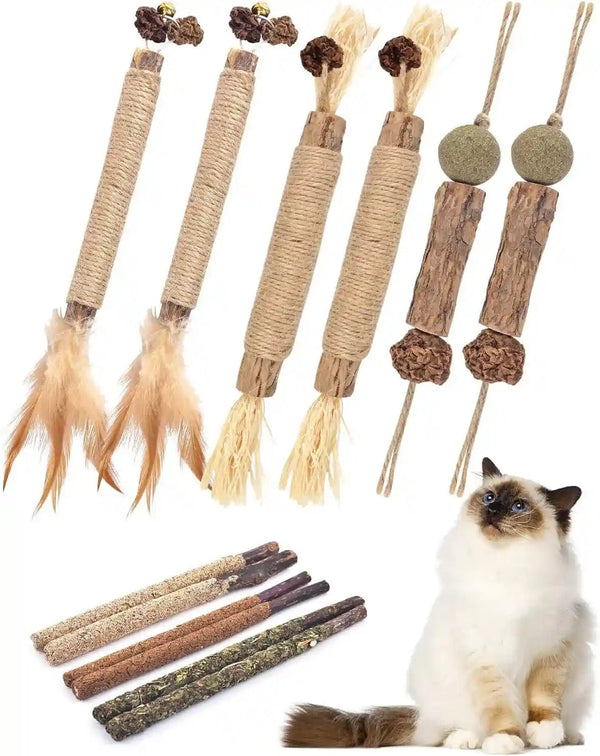 TINDTOP Catnip Chew Toys for Cats, 12 Pack Natural Silvervine Sticks | for Kittens Teeth Cleaning, Matatabi Dental Care, Increase Appetite, Calm Cat Anxiety and Stress, Cat Dental Toy1