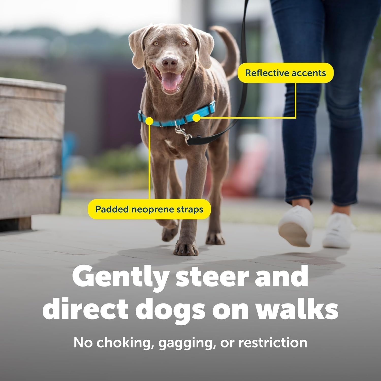 petsafe-easy-walk-deluxe-dog-harness-no-pull-dog-harness-perfect-for-leash-harness-training-stops-pets-from-pulling-and-choking-on-walks-medium-ocean