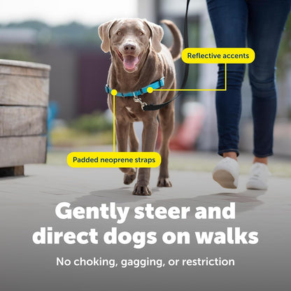 Petsafe Easy Walk Deluxe Dog Harness, No Pull Dog Harness – Perfect for Leash & Harness Training – Stops Pets from Pulling and Choking on Walks – Medium, Ocean6