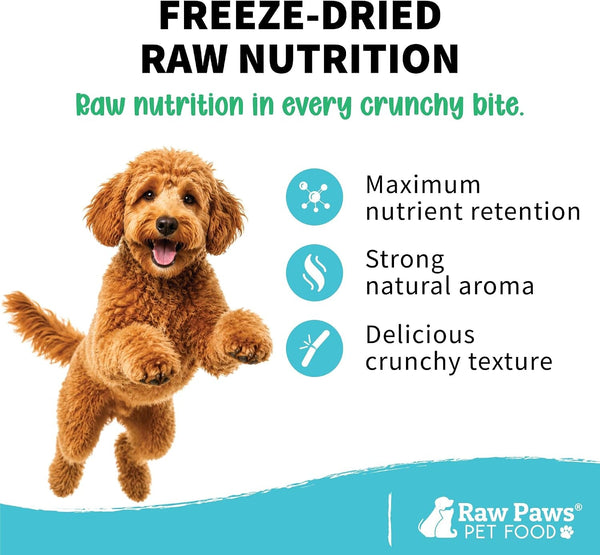Raw Paws Freeze Dried Minnows for Cats & Dogs, 2-Oz - Made in USA | Single Ingredient Fish Treats for Dogs - Freeze Dried Fish for Cats - Minnow Dog Treats - No Fillers Additives3