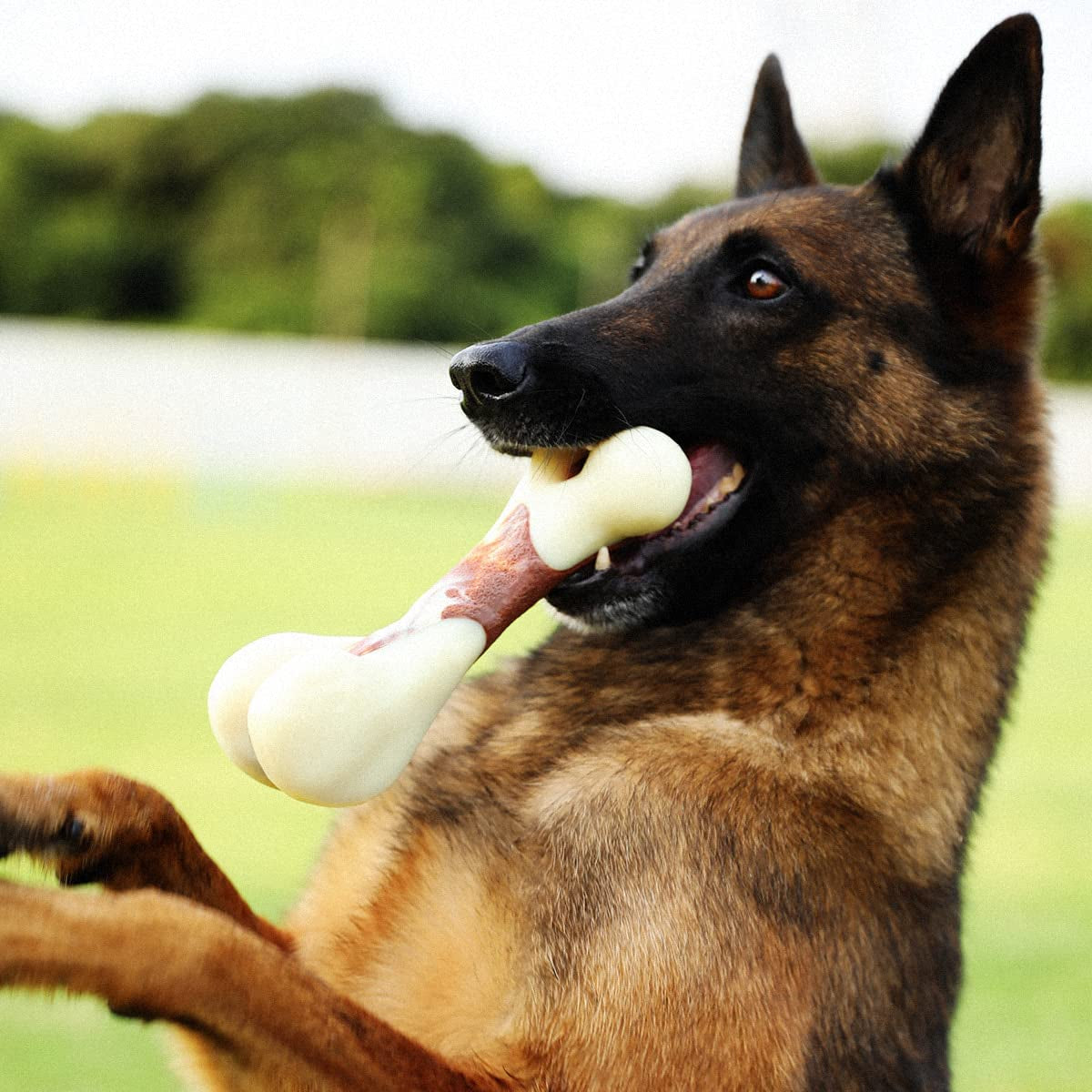 tikaton-indestructible-dog-chew-toys-for-aggressive-chewers-beef-flavor-durable-dog-teething-chew-toys-bones-for-large-medium-small-puppies