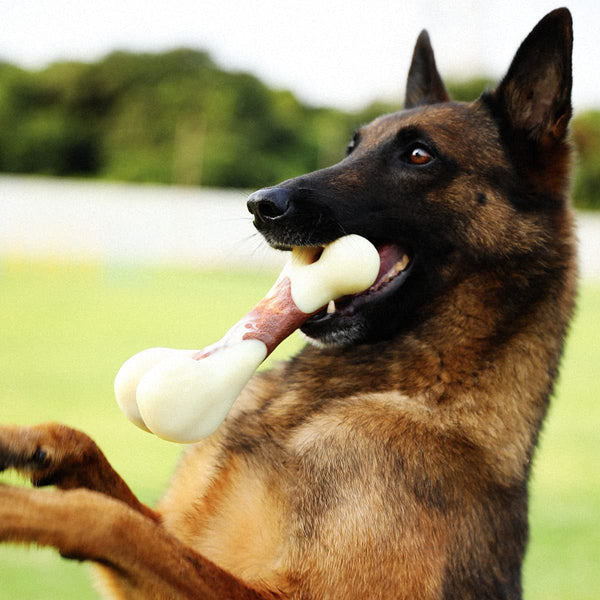 Tikaton Indestructible Dog Chew Toys for Aggressive Chewers, Beef Flavor Durable Dog Teething Chew Toys Bones for Large/Medium/Small Puppies5