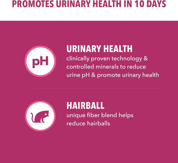 IAMS Proactive Health Urinary Tract Health Dry Cat Food, Chicken, 22 Lb | Veterinarian-Recommended, Real Chicken #1 Ingredient, Reduces Urinary Ph, Antioxidants, Antioxidants for Immune Support2