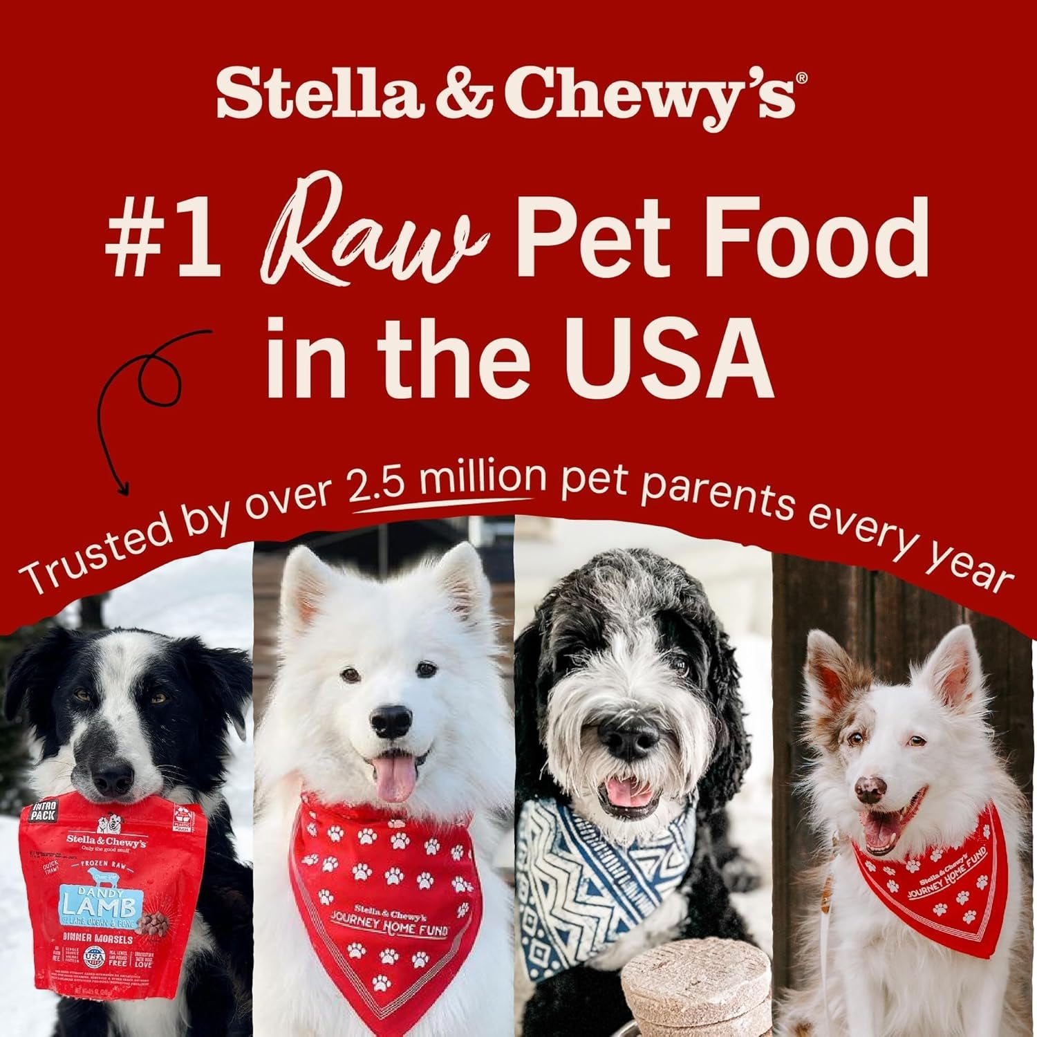 stella-chewys-freeze-dried-raw-meal-mixers-crafted-for-puppies-grain-free-protein-rich-perfectly-puppy-beef-salmon-recipe-3-5-oz-bag