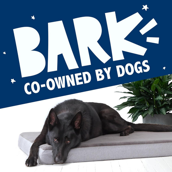 Barkbox Orthopedic Dog Bed - Large | with Memory Foam - Comfortable, Durable & Machine Washable Pet Bed - Grey7
