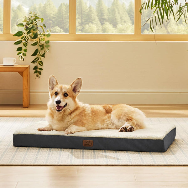 Bedsure Washable Dog Beds Large Sized Dog with Comfy Sherpa, 36X27In Grey | Orthopedic Egg Crate Foam,Comfort Support Flat Rectangle Pet Mat,Non-Slip Bottom,Removable Cover,For Large Breed up to 55 Lbs21