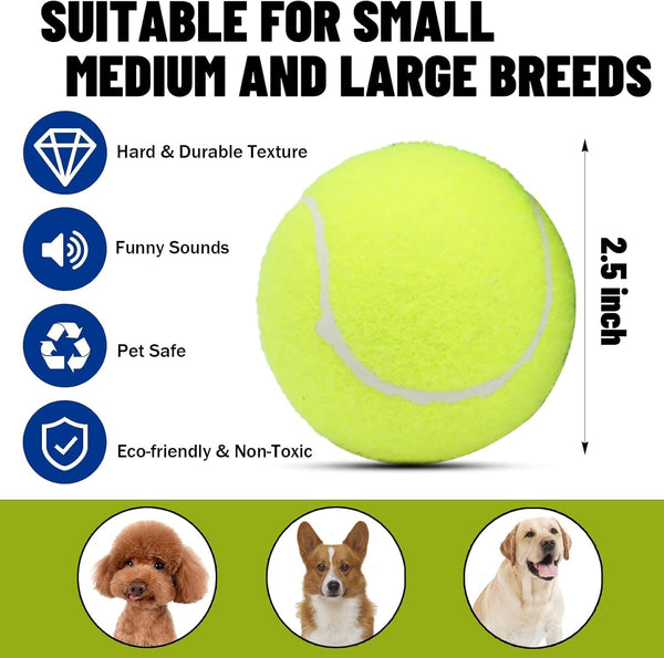 Magicorange Dog Tennis Balls, 20 Pack 2.5 Inch Squeaky Tennis Balls | Floatable Squeaky Dog Balls for All Breed Dogs,Natural Rubber,Colorful Easy Catching Multicolor,With Mesh Bag2