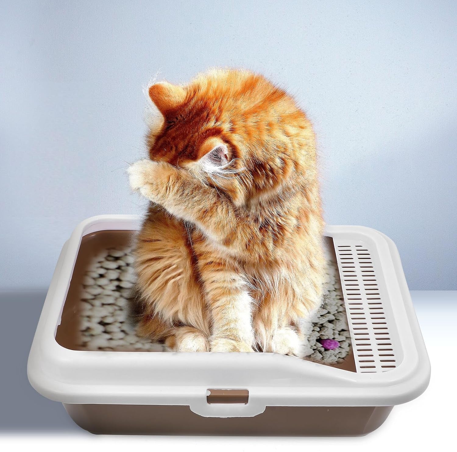 milisten-cat-litter-box-with-scoop-splash-proof-kitten-litter-pan-medium-square-plastic-cat-toilet-and-pet-housebreaking