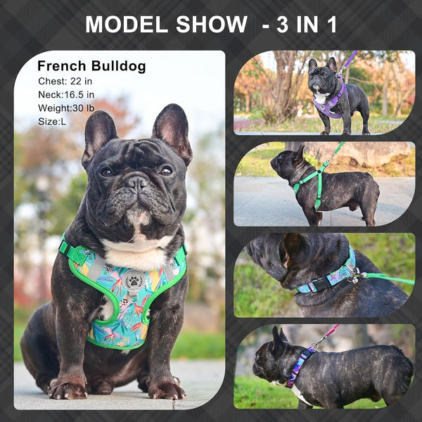 BEAUTYZOO Dog Harness Collar and Leash Set, No-Pull Step in Dog Harness for Large Dogs, Reflective No-Choke Puppy Vest Harness, Adjustable Soft Padded Pet Vest for French Bulldog, Dark Pink L2