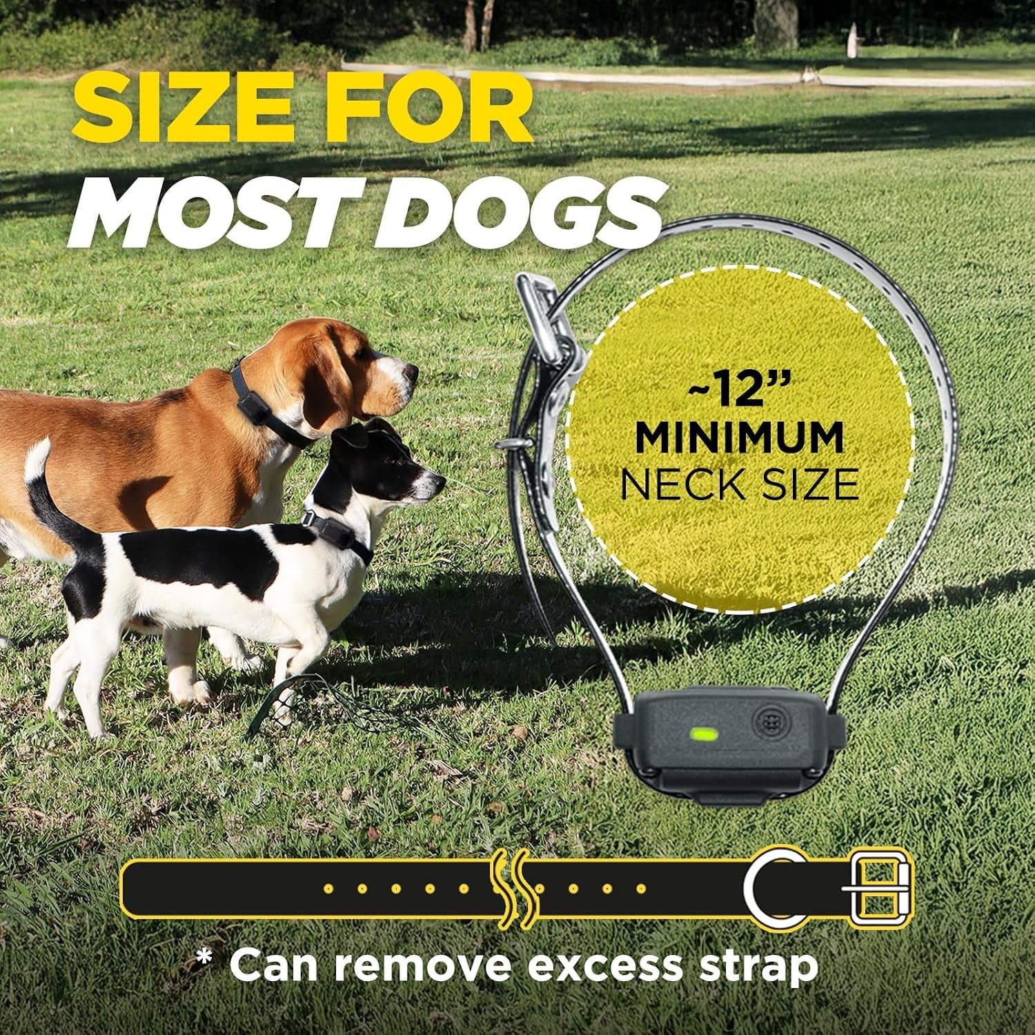 dogtra-iq-vibe-vibration-only-no-bark-collar-4x-stronger-hpp-vibration-ipx9k-waterproof-precision-sensor-rechargeable