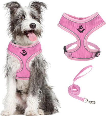 PUPTECK Soft Mesh Dog Harness Small Sized and Leash Set Pet Puppy Cat Comfort Padded Vest No Pull Harnesses, Beige, S59