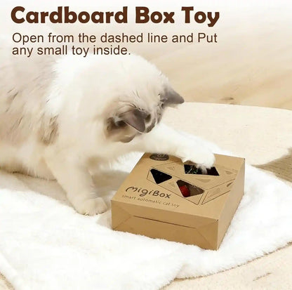 Interactive Cat Toys -Migibox for Indoor Bored Cats, Automatic Pop Out Feathers from 7 Holes Randomly, Motion Activated, USB Rechargeable (Purple Skin)4