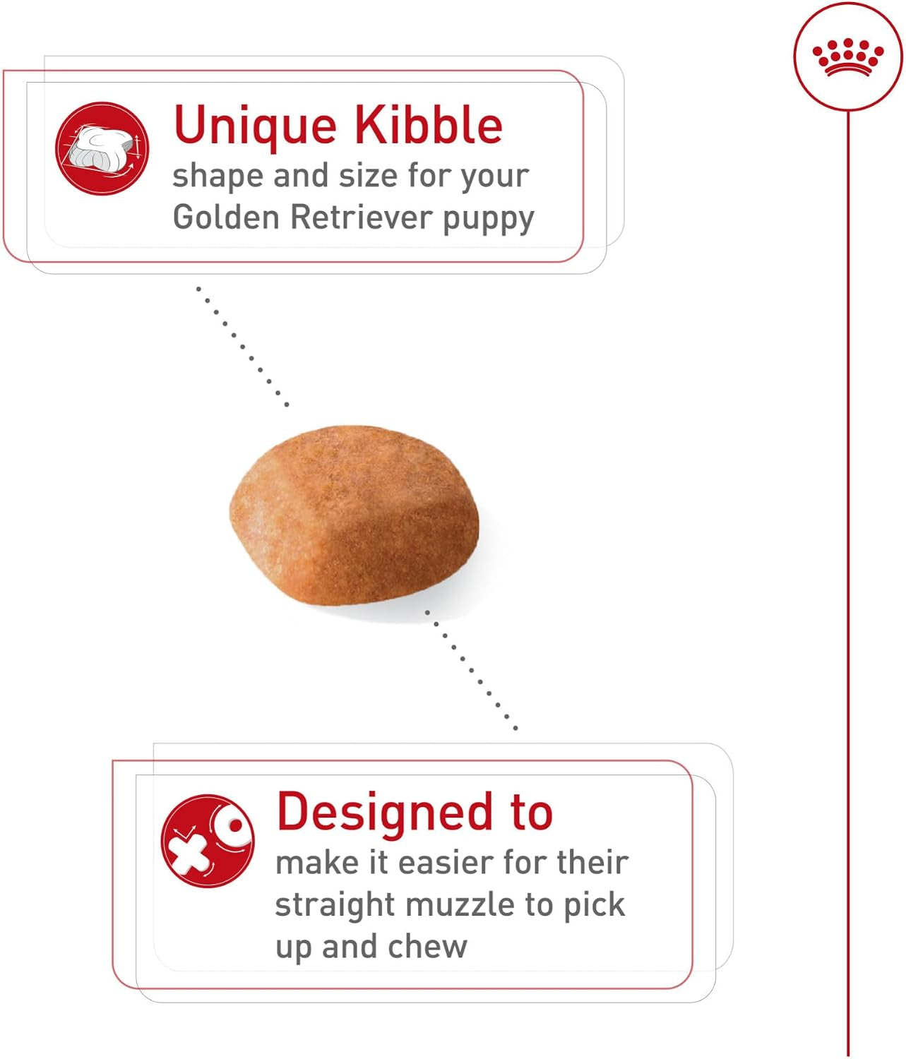 royal-canin-breed-health-nutrition-golden-retriever-puppy-dry-dog-food-30-lb-bag-specialized-nutrition-for-growth-supports-healthy-skin-and-coat-antioxidant-rich-recipe-30-pound-bag