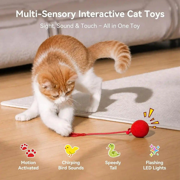 Cheerble Interactive Cat Toy Ball, Smart Automatic Electric Cat Toys for Indoor Cats with 3 Speeds, Chirping Moving Motion Activated Teaser Rolling Ball Toy for Cats/Small Dog to Keep Them Busy3