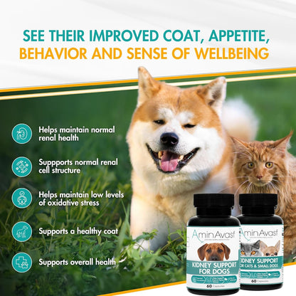 Aminavast 300Mg Kidney Support for Cats & Small Dogs, 60 Sprinkle Capsules | Feed Directly or Open Capsules & Mix with Food, Amino Acid and Peptide Blend for Cats and Small Dogs up to 20Lb2