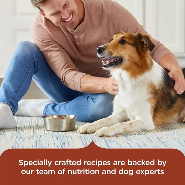 Nutrish Savory Favorites Wet Dog Food Variety Pack, 8 Oz Tubs (Rachael Ray) | Pack of 6, Includes 3 Delicious Flavors of Chicken Paw Pie, Hearty Beef Stew & Savory Lamb Stew, No Artificial Flavors5