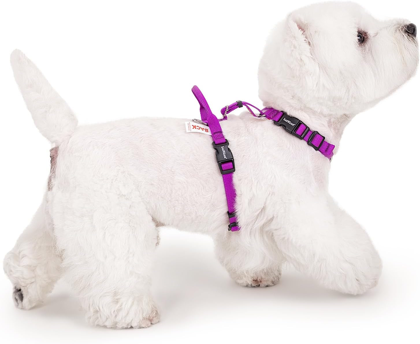 no-pull-dog-harness-small-purple-black-non-restrictive-neck-buckle-design-six-points-adjustment-lightweight-easy-walk-small-dogs-chest17-23inches
