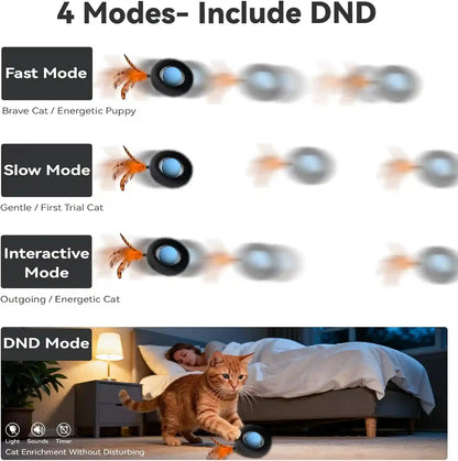 Interactive Cat Toy with Motion Activated Ball & 7-Hole Play Mat, Hide and Seek Exercise Game for Indoor Cats, Automatic Moving Cat Ball in Pouch, Rechargeable Kitten Toys (Starry Night)8