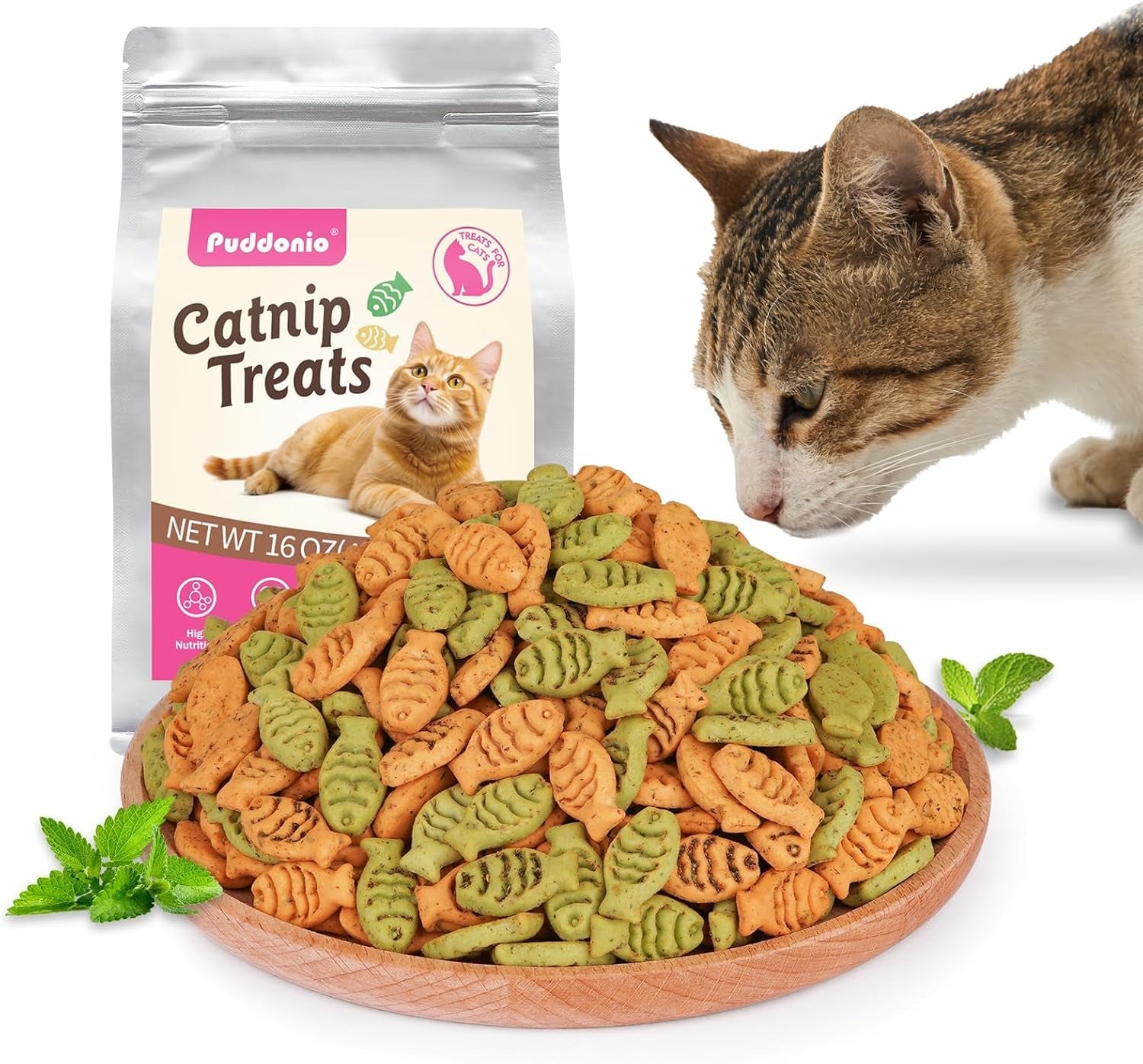 catnip-cat-treats-chicken-salmon-flavor-crunchy-bites-16-oz-catnip-infused-fish-shaped-biscuits-with-chicken-and-salmon-flavors-made-for-training-rewarding-and-everyday-bonding
