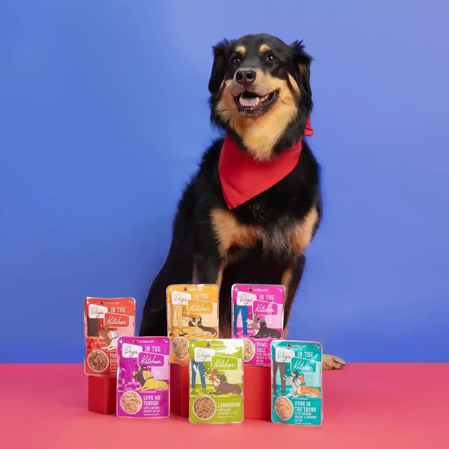 weruva-dogs-in-the-kitchen-variety-pack-pooch-pouch-party-wet-dog-food-2-8oz-pouches-pack-of-12