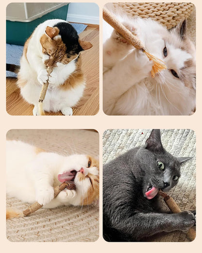 Tocirelo Silvervine Sticks for Cats, Natural Cat Chew Toy Teeth Cleaning | 6Pack Matatabi Sticks Dental Care Kitten Treat, Catnip Cat Teething Toys, Catmint Silver Vine Sticks for Bored Indoor Kitty7