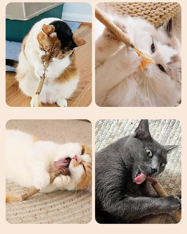 Tocirelo Silvervine Sticks for Cats, Natural Cat Chew Toy Teeth Cleaning | 6Pack Matatabi Sticks Dental Care Kitten Treat, Catnip Cat Teething Toys, Catmint Silver Vine Sticks for Bored Indoor Kitty7